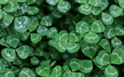 EPSTRA March Newsletter