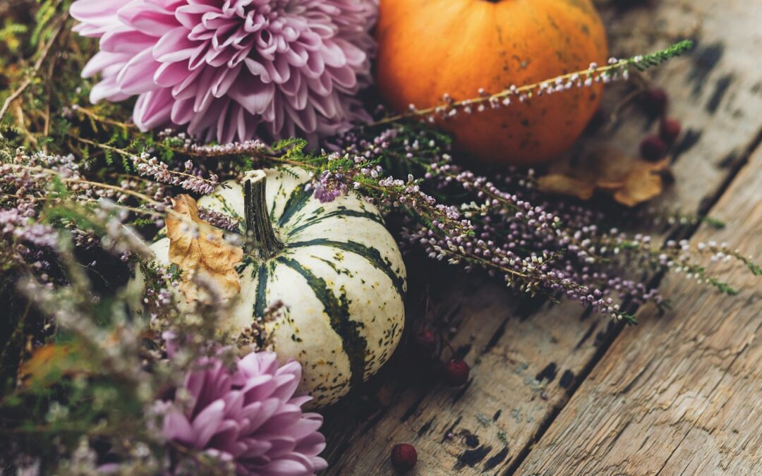 November Newsletter